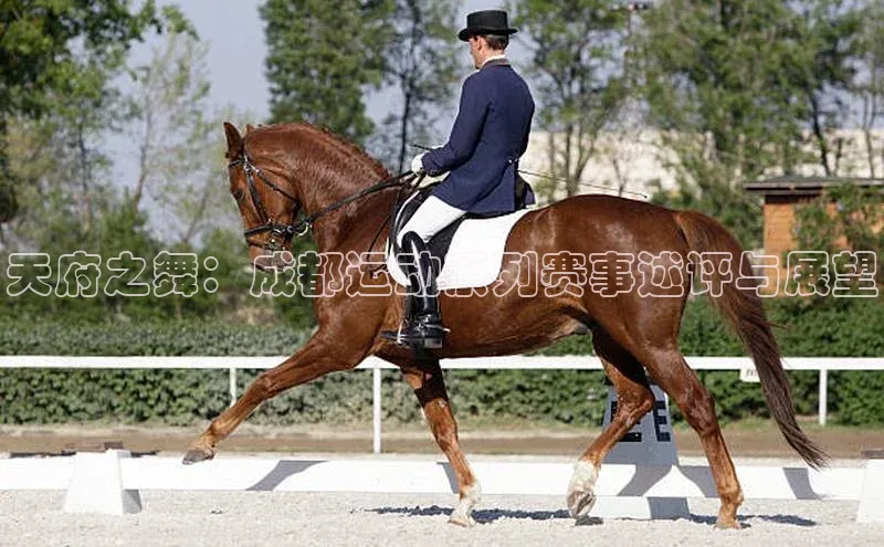 k1体育最新网站