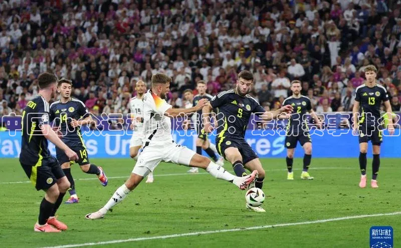 k1体育官网入口网址