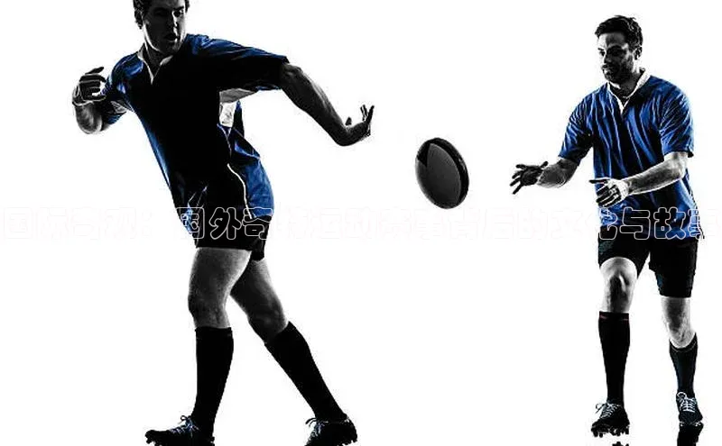 k1体育app登录平台在线