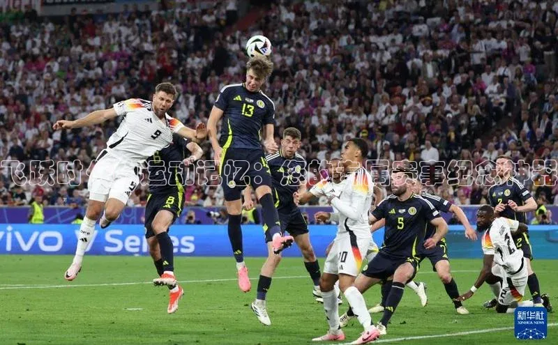 k1体育娱乐平台下载官网